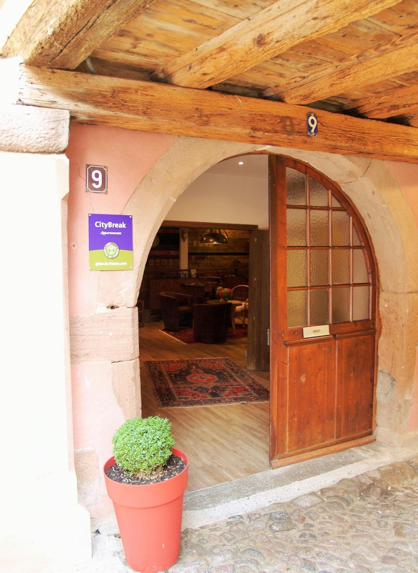 Les Appartements De Louise Riquewihr Dış mekan fotoğraf